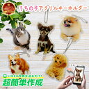 【 アクリルキーホルダーP10-1】 ペット 写真 ペット キーホルダー メモリアル オリジナル プリント オーダーメイド 犬 猫 子供 プレゼント オーナーズ...