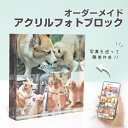 ★レビュー特典1,000円クーポン★【 アクリルブロック D03 】ペット お迎え ドッグラン 犬 猫 ネコ 写真 プリント アルバム 印刷 誕生日 うちのこ ウェディング うさぎ グッズ 記念日 彼氏 彼女 プレゼント 名入れ 文字入れ アクリル パネル 送料無料 写真たて