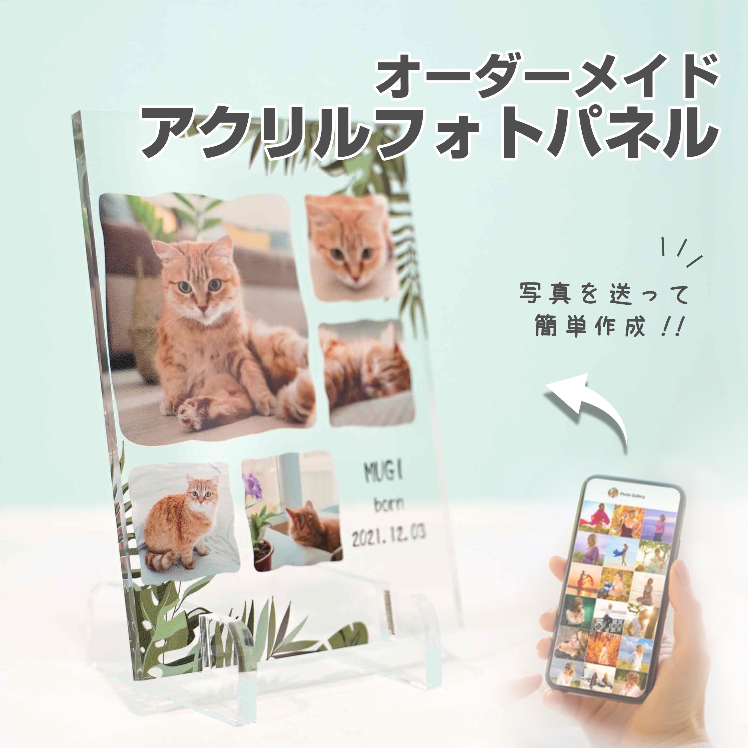 おしゃれなアクリルフォトパネル ★レビュー特典1,000円クーポン★【 アクリルフォトパネル A14 】猫 メモリアル 位牌 犬 ペット 動物 家族 記念日 写真 プリント 印刷 ギフト 名入れ 文字入れ 思い出 記念 アクリル フォトフレーム 写真立て 誕生日 ペット用 お葬式 かわいい　飾る　嬉しい