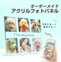 ★レビュー特典1,000円クーポン★【 アクリルフォトパネル A08 】ペット 犬 猫 メモリアル 位牌 オリジナル オーダーメイド かわいい イヌ ネコ ペット用おもちゃ おやつ 犬用 猫用 記念日 うちのこ 写真 プリント ギフト 名入れ 文字入れ 記念 アクリル 写真たて