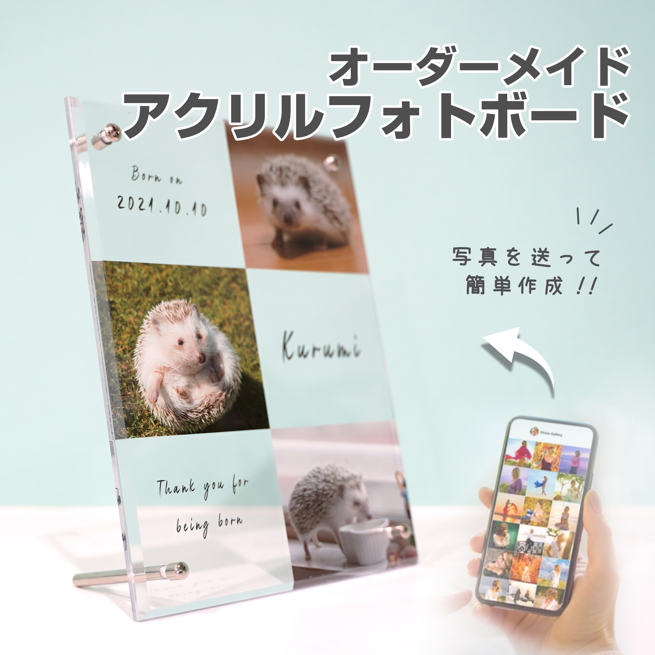 ★レビュー特典1,000円クーポン★フォトフレーム おしゃれ アクリル ペット オリジナルグッズ 犬 猫 インスタ メモリアル パネル 写真 印刷　3枚の写真　ペット　ハリネズミ　犬　猫　インコ