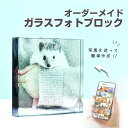 ★レビュー特典1000円クーポン★【 ガラス ブロック C01 】ペット 写真 ペットグッズ メモリアル 位牌 ペット オリジナル オーダーメイド 犬 猫 イヌ ネコ ハリネズミ 誕生日 記念写真 うちの子 名入れ 文字入れ おしゃれ プリント 印刷 フォトフレーム 写真立て アクリル