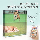 ★レビュー特典1,000円クーポン★【 ガラスブロック C02 】ペット 犬 猫 うさぎ 足型 足形 ぬいぐるみ オリジナル グッズ ペットカメラ ペット記念日 写真 写真 プリント 印刷 アルバム 誕生日 名入れ 文字入れ 思い出 記念 アクリル フォトフレーム 送料無料 写真立て