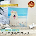コーギー 犬 グッズ アニマル動物記念品仏具虹の橋うちの子グッズ犬猫可愛いお洒落プレゼントうさぎ名入れ写真入りアクリルフォトパネルカップルペットギフト記念日プレ...