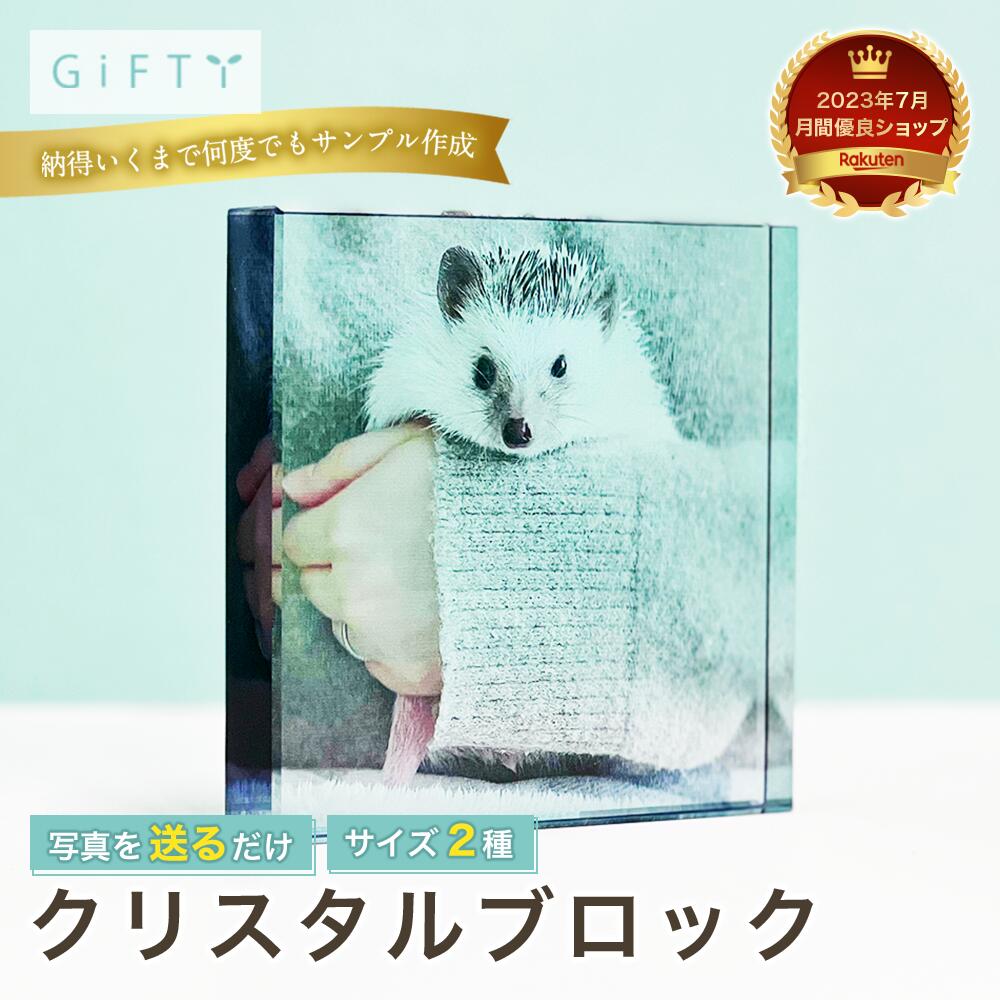 Glass, Crystal Frames - 【限定クーポン】 【クリスタルブロック】ハリネズミ フェレット イグアナ 鳥 インコ エキゾチックアニマル 名入れ 写真入り ペット記念品 カップル恋人向け 保存用 お祝いギフト 透明感 おしゃれ プレゼント オーダーメイド 永久保存可能 思い出残し【c01】