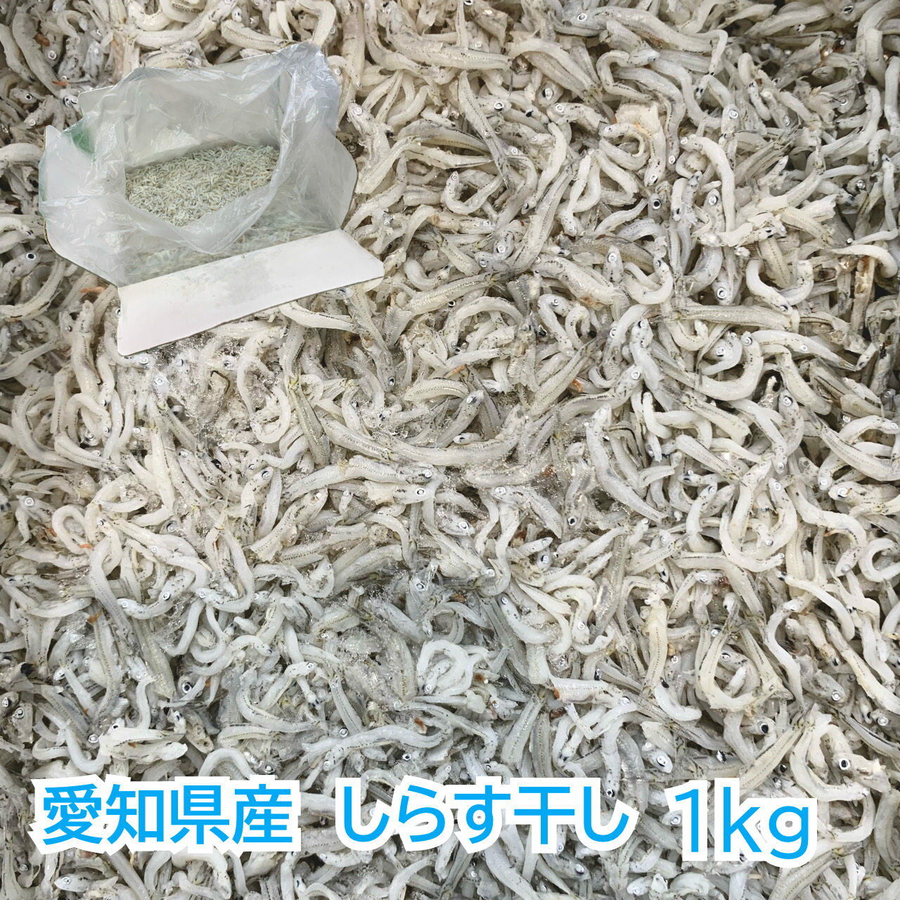 商品情報名称煮干魚類品名しらす干し原材料名いわし類の稚魚（愛知産）、塩内容量1kg保存方法要冷凍（-18℃以下）栄養成分表示（100g当たり）エネルギー：124kcalたんぱく質：24.5g脂質：2.1g炭水化物：0.1g食塩相当量：4.2g【送料無料】　愛知県産　ちりめんじゃこ　1kgちりめん　じゃこ　雑魚　白ちり　しらす　しらす干し　イワシ　いわし　稚魚　ギフト　贈答　贈り物 篠島　愛知 愛知県産のちりめんじゃこです。魚体は小さめです。 8