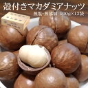 殻付きマカダミアナッツ(無塩) 100g×12袋 (専用オープナー付き) 