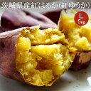 茨城県産 紅はるか(紅ゆうか) L×5kg(約12本入) A等級 生芋