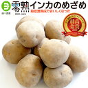 お試し氷温熟成 零熟インカのめざめ S～Mサイズ(400g×2袋) 