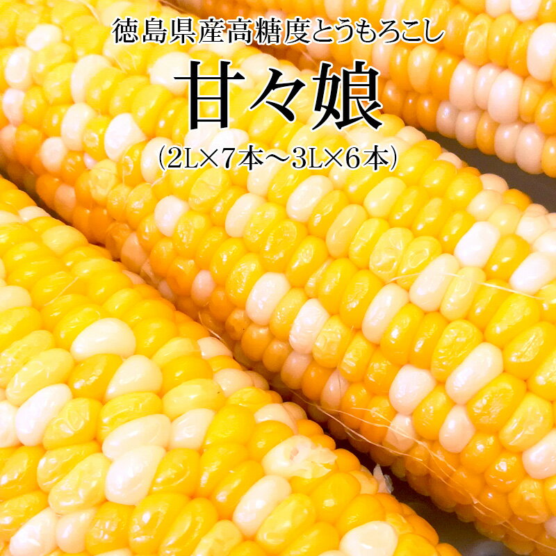 【予約早割2,980円⇒2,780円】徳島県産高糖度とうもろこし 甘々娘 秀 (2L×7本～3L×6本) お試しかんかんむすめ [送料無料 父の日 JA徳島 スイートコーン BBQ 入手困難 バイカラーコーン タイムセール]