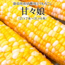 徳島県産高糖度とうもろこし 甘々娘 秀 (2L×7本～3L×6本) お試しかんかんむすめ 