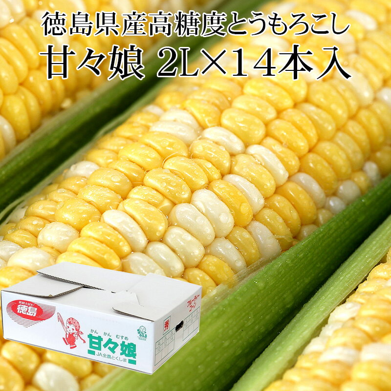 【予約早割4,780円⇒4,580円】徳島県産とうもろこし 甘々娘(かんかんむすめ) 秀品 2L×14本入 高糖度 [送料無料 父の日 JA徳島 スイートコーン BBQ バイカラーコーン タイムセール]