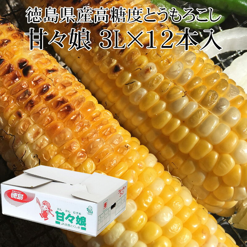 徳島県産 甘々娘 秀 3L×12本入 高糖