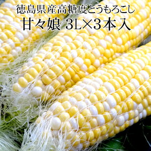 【お試し3本】徳島県産 甘々娘(かんかんむすめ) 3L×3本入 秀品 高糖度とうもろこし [送料無料 JA徳島 スイートコーン BBQ バイカラーコーン]