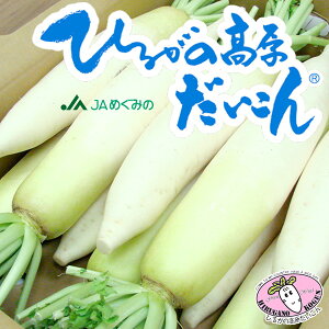 ひるがの高原だいこん L(約1kg)×10本[JAめぐみの 岐阜県産 国産 野菜 冷蔵便 業務用購入OK 送料無料 父の日]