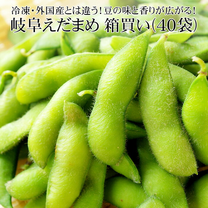 全国お取り寄せグルメ岐阜野菜・きのこNo.8