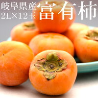 【個包装アリ】岐阜県産 富有柿 秀2L×12玉 [お届け日指定NG！ 送料無料 化粧箱入 ギフトOK JA全農岐阜]