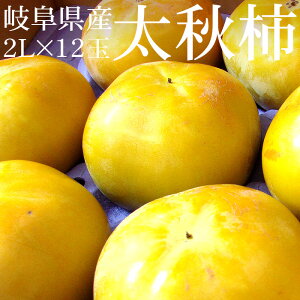 【岐阜の柿】岐阜県産の甘くて美味しい柿のおすすめは？