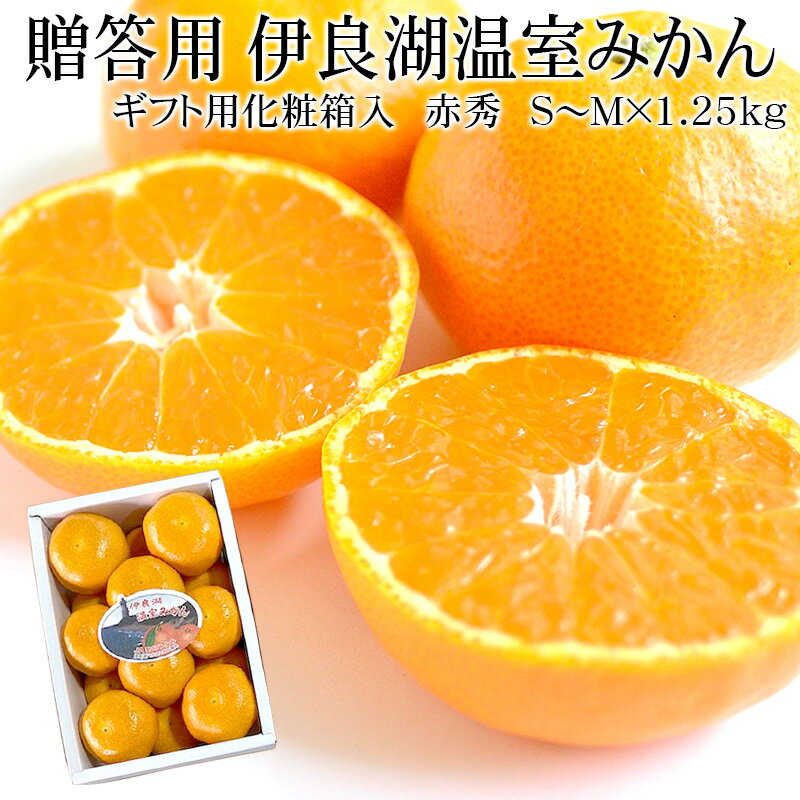 みかん 【予約早割4,280円⇒3,980円】愛知県産 伊良湖温室みかん S〜M×1.25kg(15～12個入) 赤秀 ギフト用化粧箱入 [送料無料 お中元 ギフト のし対応 冷蔵便 濃厚な甘さ 薄皮 極上 みかん JA愛知みなみ]