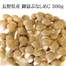 長野県産 御嶽ぶなしめじ 300g×2～10袋 [国産ぶなしめじ 冷蔵便 送料無料]