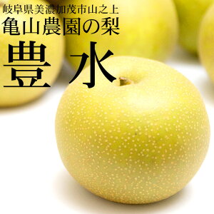 亀山農園の梨 豊水 約3kg(5〜8玉) 岐阜県美濃加茂市山之上のブランド和梨【送料無料 敬老の日 熨斗対応】