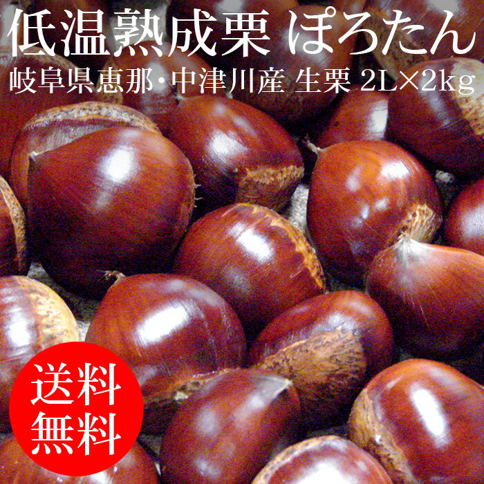 【予約早割200円OFF】岐阜県恵那・中津川産 低温熟成栗 ぽろたん2L×2kg(生栗) [お届け日指定NG 送料無料 数量限定 タイムセール]