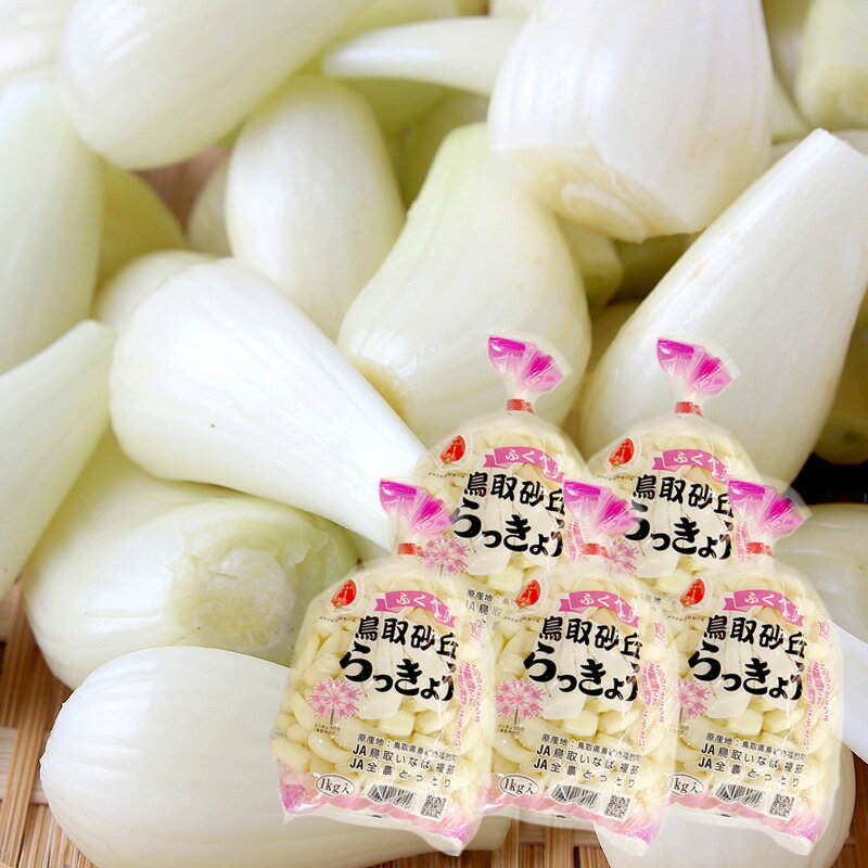 楽天季節の野菜・フルーツ＠ぎふーる【予約早割 7,800円⇒ 7,500円】鳥取県福部町産 ふくべ鳥取砂丘らっきょう（洗いらっきょう） Mサイズ 1kg×5袋 [生辣韭 国産 洗い らっきょう JA全農鳥取 送料無料 冷蔵便 タイムセール]