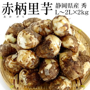 静岡県産 赤柄里芋(あかがらさといも)秀 L～2Lx2kg【お月見 中秋 名月 野菜便 冷蔵便 送料無料】