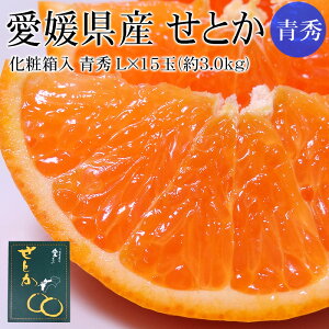 愛媛県産 せとか 青秀 L×15玉(約3kg) 専用化粧箱入 [濃厚な甘さ食感 高級みかん 送料無料 ギフト]