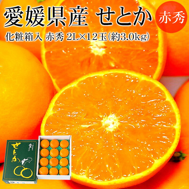 愛媛県産 せとか 赤秀 2L×12玉(約3kg) 専用化粧箱入 [高品質 濃厚な甘さ食感 高級みかん 送料無料 ギフト]