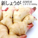 純正食品マルシマ　国産　生姜粉末　20g×4セット　2504【送料無料】