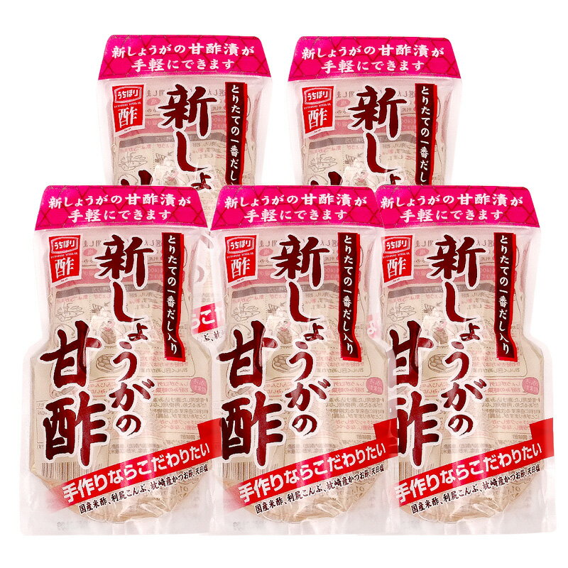 内堀醸造 新しょうがの甘酢 400ml×5袋セット [新生姜400g用 漬物用 甘酢漬け]