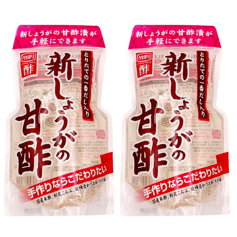 内堀醸造 新しょうがの甘酢 400ml×2袋 [1袋で新生姜 400g用 漬物用 甘酢漬け 送料無料]