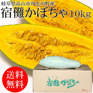 宿儺かぼちゃ 岐阜県高山市丹生川町産 約10kg(3〜5本入) [お届け日指定NG 季節限定 すくなかぼちゃ 送料無料 業務用 敬老の日]