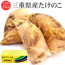 三重県産 たけのこ A等級 4kg(3～10本入り) [送料無料 限定入荷 国産 タケノコ 筍 全農みえ 桑名]