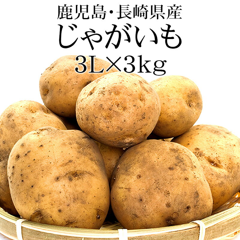 鹿児島・長崎県産 じゃがいも 3Lx3kg [2024年収穫 新じゃが 大玉 送料無料 常温便]