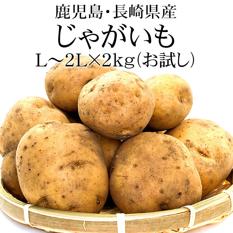 鹿児島・長崎県産 新じゃがいも L～2Lx2kg【2024年収穫 新じゃが 送料無料】