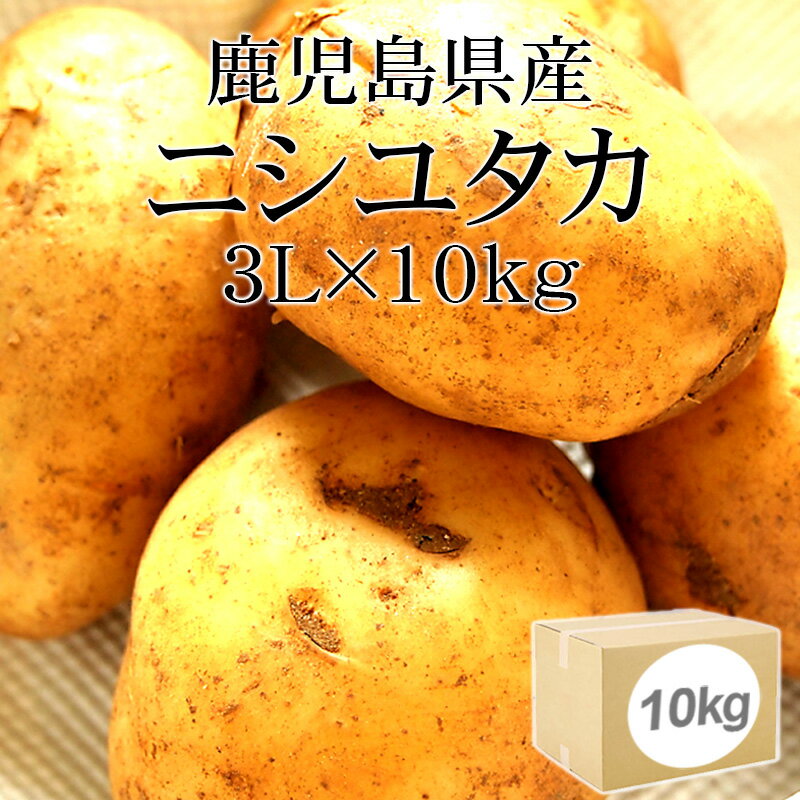 【タイムセール 4,580円⇒ 4,180円】鹿児島県産 ニシユタカ 3Lx10kg [2023年収穫 新じゃが 大玉 送料無料 箱買い 業務用 野菜便 常温便 給食・ホテル・飲食店・居酒屋など]