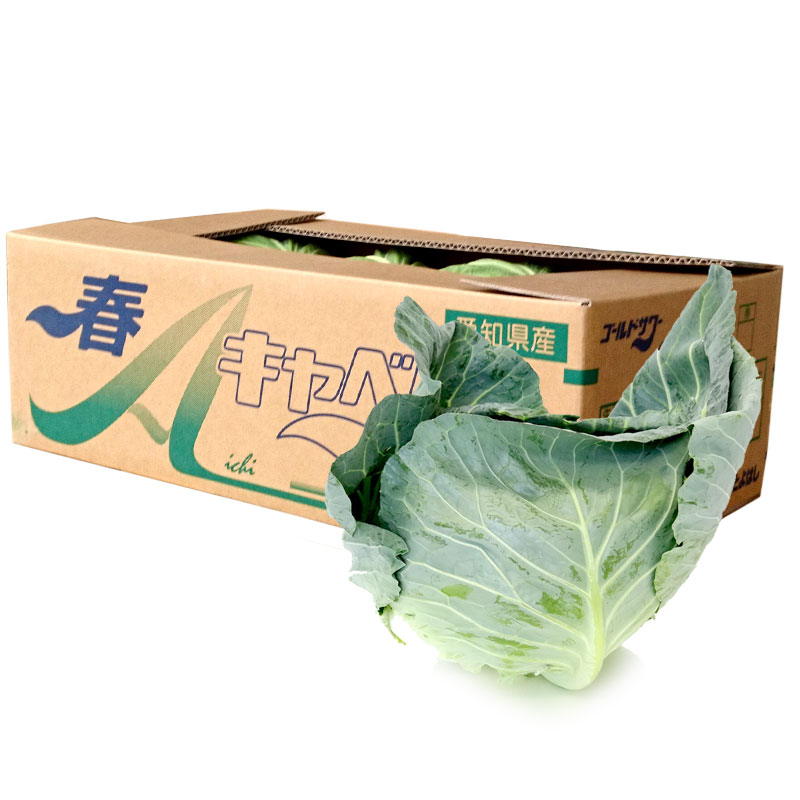 産地厳選 キャベツ1箱 (6～8玉 約10kg 岐阜・愛知・長野・茨城など)【送料無料 箱売り 業務用 箱買い ..