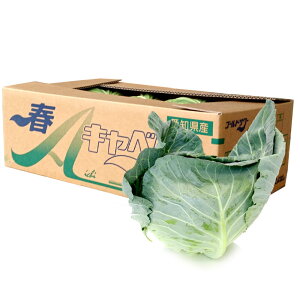 新じゃがいも・新ごぼうなど！新鮮で美味しい春野菜のおすすめは？