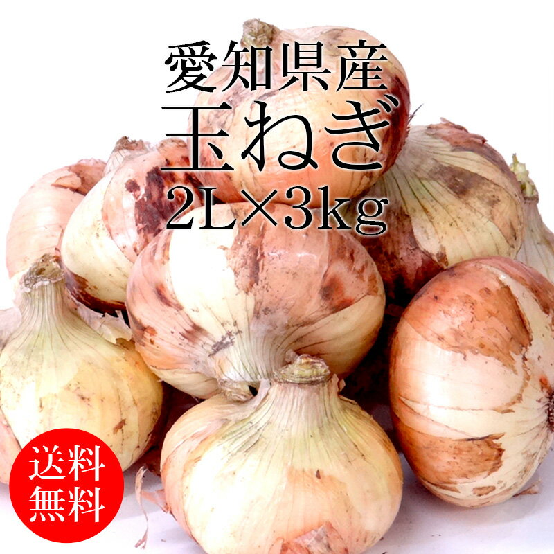 愛知県産 新玉ねぎ 2Lx3kg [2024年産新玉 送料無料 使いやすい量 国産 たまねぎ 野菜便 常温便]