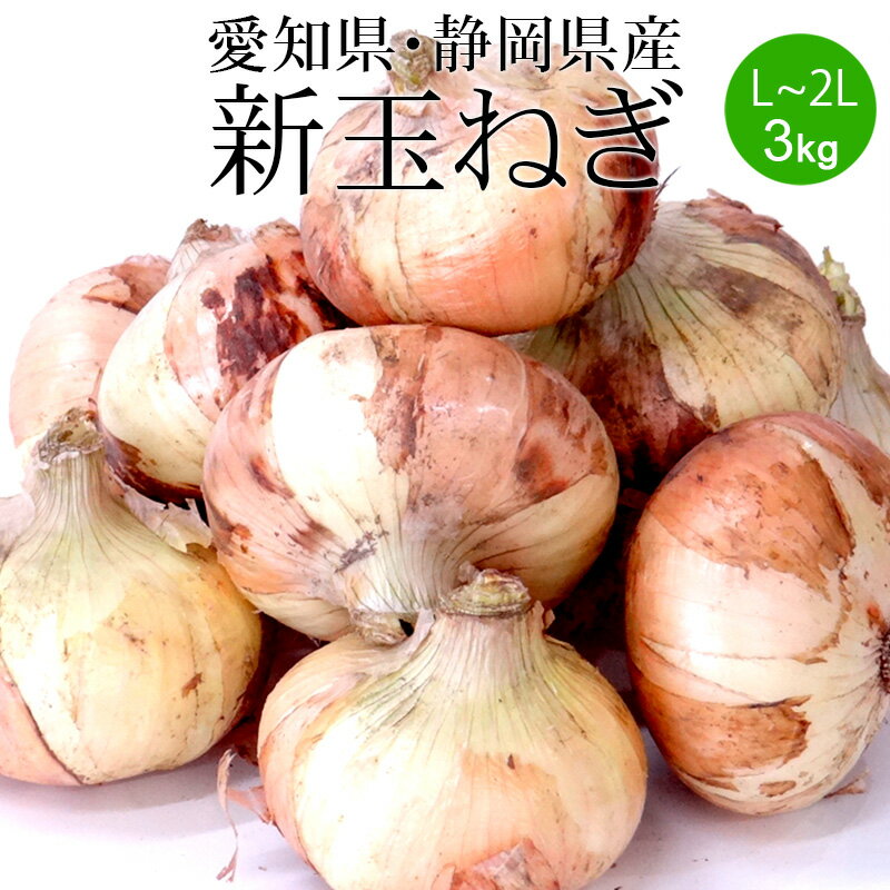 玉ねぎ L~2Lx3kg (愛知県・静岡県産)[送料無料 使いやすい量 国産 たまねぎ 野菜便 常温便]