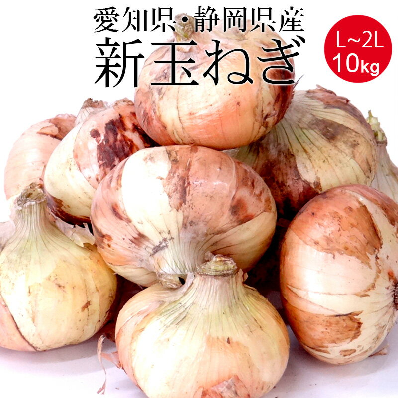 愛知・静岡産 玉ねぎ L～2Lx10kg [送料無料 業務用 箱買い 国産新たまねぎ 野菜便 常温便 お徳用]