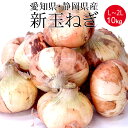 愛知・静岡産 玉ねぎ L～2Lx10kg [送料無料 業務用 箱買い 国産新たまねぎ 野菜便 常温便 お徳用]