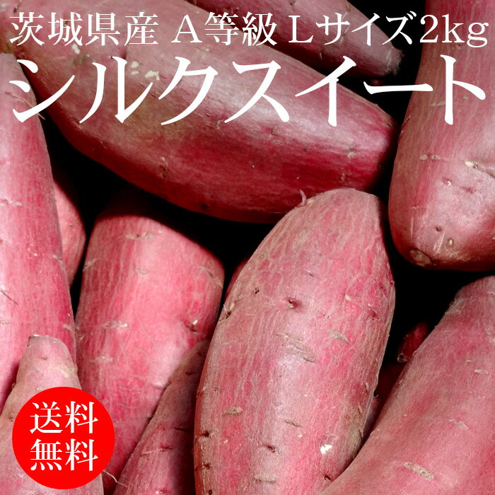 [2020年秋収穫・貯蔵もの] 茨城県産シルクスイート L×2kg A等級 [さつまいも ひね 焼き芋 野菜便 常温便 送料無料]