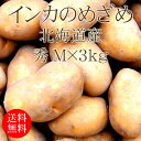 北海道産 インカのめざめ 秀 Mx3kg [2019年産 じゃがいも 使いやすい量 野菜便 常温便 送料無料]