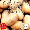 北海道産 インカのめざめ 秀Mx10kg [2019年産 じゃがいも 箱買い 野菜便 常温便 送料無料]