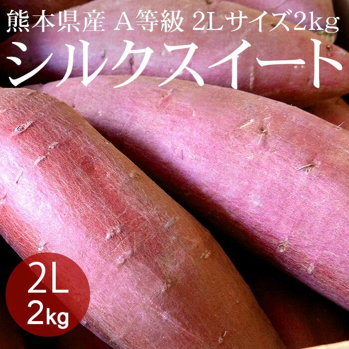 熊本県産 シルクスイート 2L×2kg(約5本) A等級 [生いも 使いやすい量 焼き芋 野菜便 常温便 送料無料]