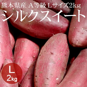 [2021年秋収穫] 熊本県産 シルクスイート Lx2kg(約8本) A等級 [生いも 使いやすい量 焼き芋 野菜便 常温便 送料無料]