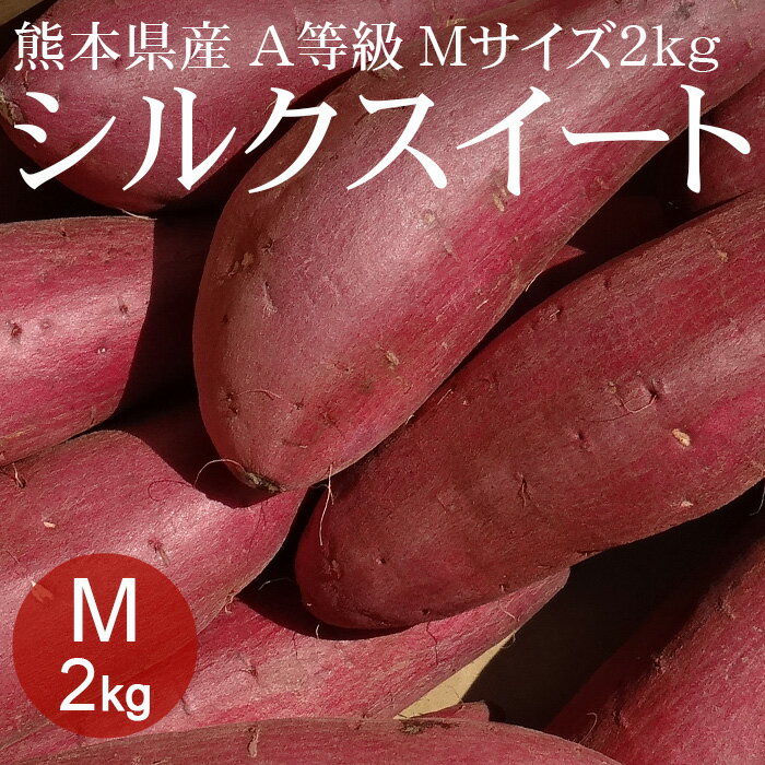 熊本県産シルクスイート Mx2kg 約10本 A等級 [生いも 使いやすい量 焼き芋 野菜便 常温便 送料無料]